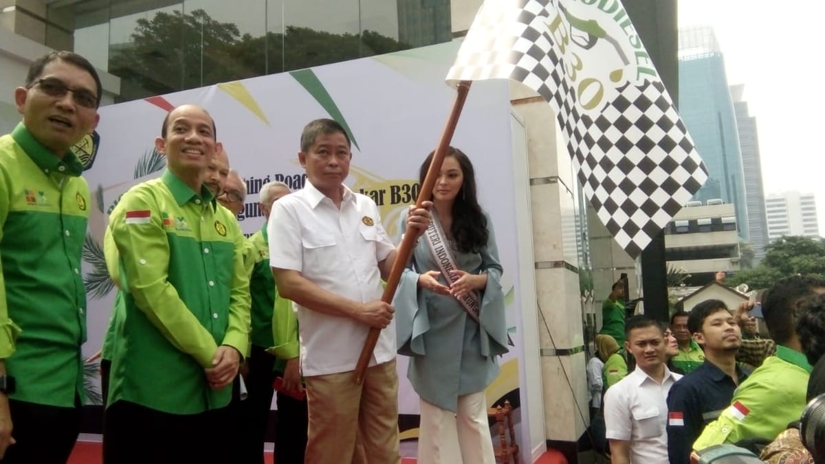 Uji Coba B30 Sudah Capai 80 Persen, Belum Ada Masalah Signifikan