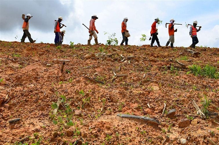 Bertanam Hari Ini, Berteduh Kemudian