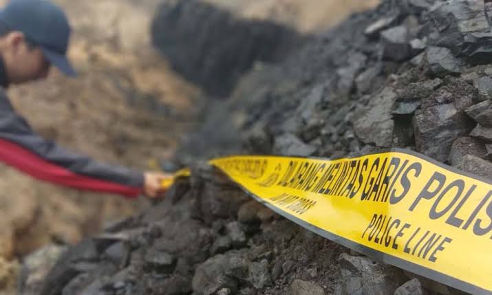 PETI Marak Ditengah Harga Naik, Penegakan Hukum Jadi Kuncinya