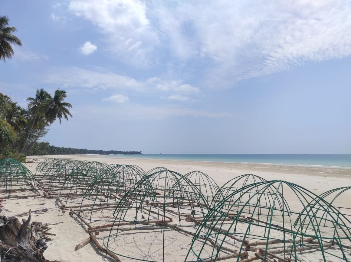 Tenggelamkan Artificial Reef, PT Timah Komitmen Jaga Ekosistem Laut Berbasis Wisata