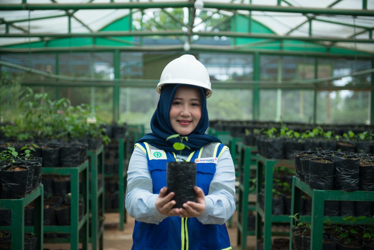 Tiga Strategi Bukit Asam Menuju Net Zero Emission