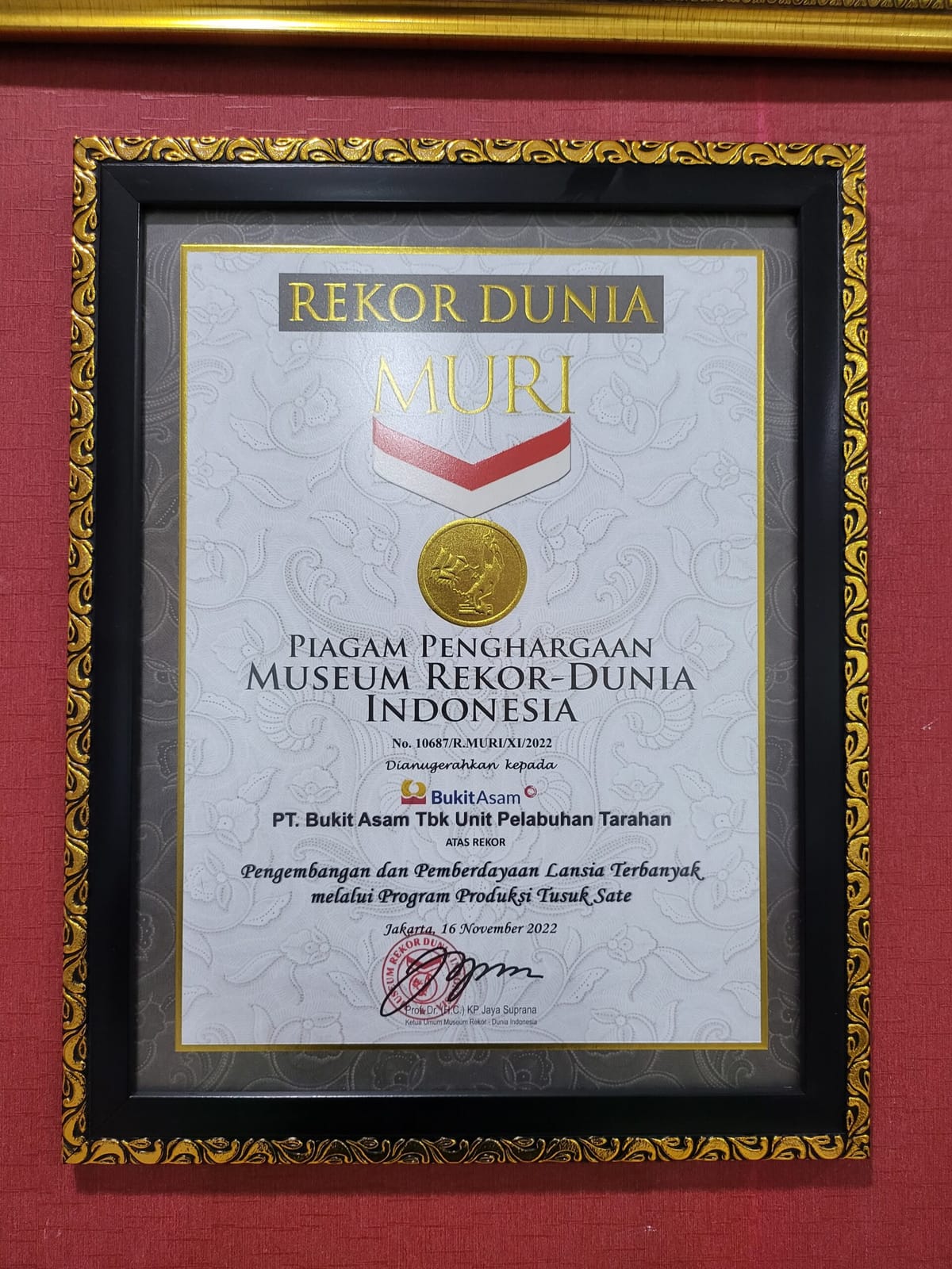 Berdayakan 1.127 Lansia Produksi Tusuk Sate, PTBA dan Paguyuban Krajan Terima Rekor MURI