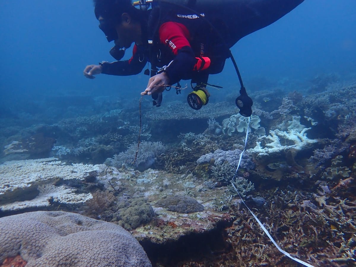 PT Trimegah Bangun Persada Konsisten Terapkan Good Mining Practices