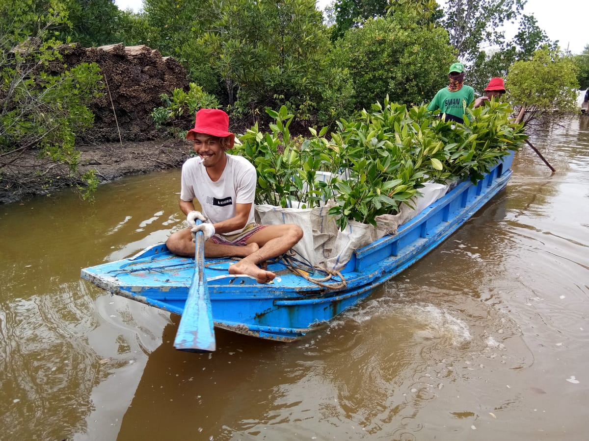 Jaga Lingkungan, PTBA Rehabilitasi Daerah Aliran Sungai 5.197 Hektar