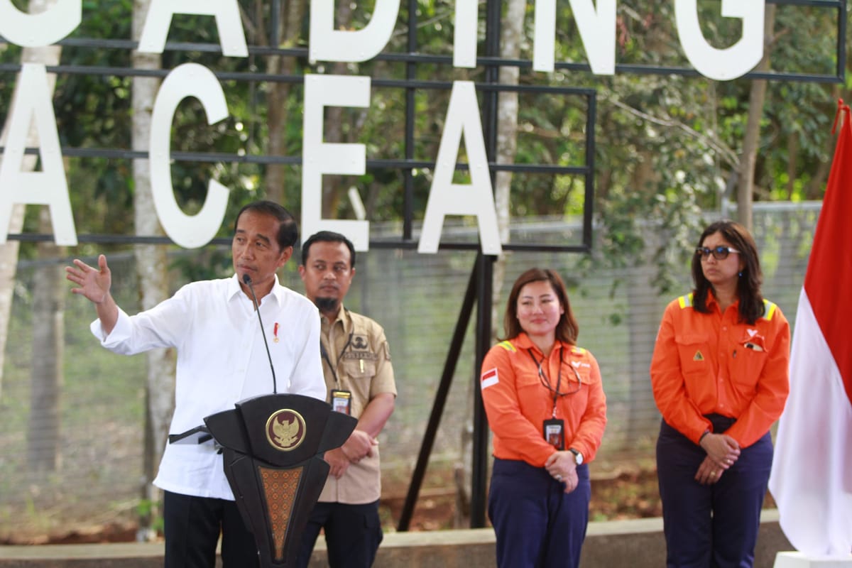 Soal Perpanjangan Kontrak Karya VALE, Presiden Jokowi Bilang Begini