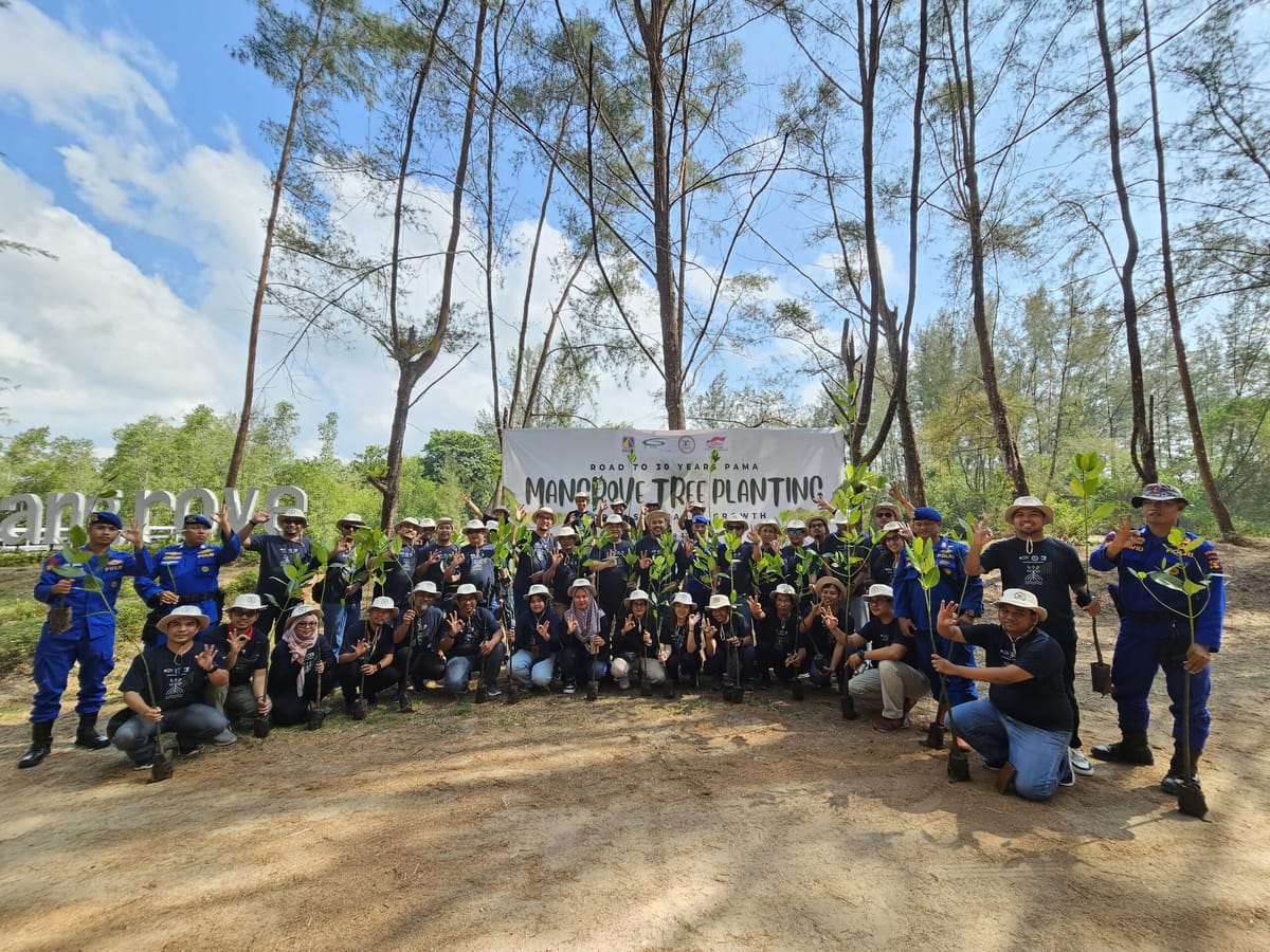 Bantu Turunkan Gas Rumah Kaca, PAMA Tanam Mangrove Di Pantai Lamaru, Balikpapan