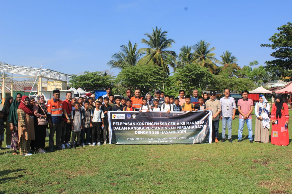 Pesepakbola profesional