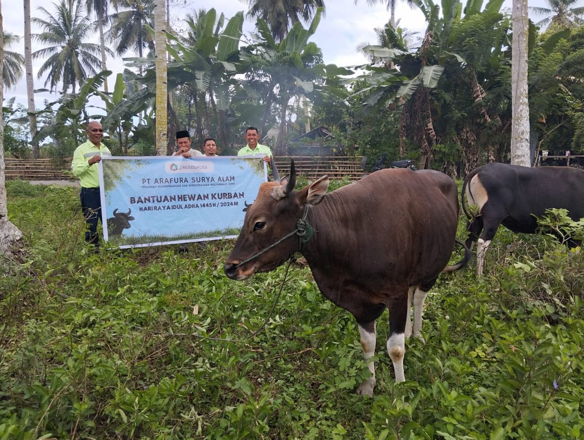 Di Moment Hari Raya Idul Adha, J Resources Sumbang Sapi Ke Masyarakat Lingkar Tambang
