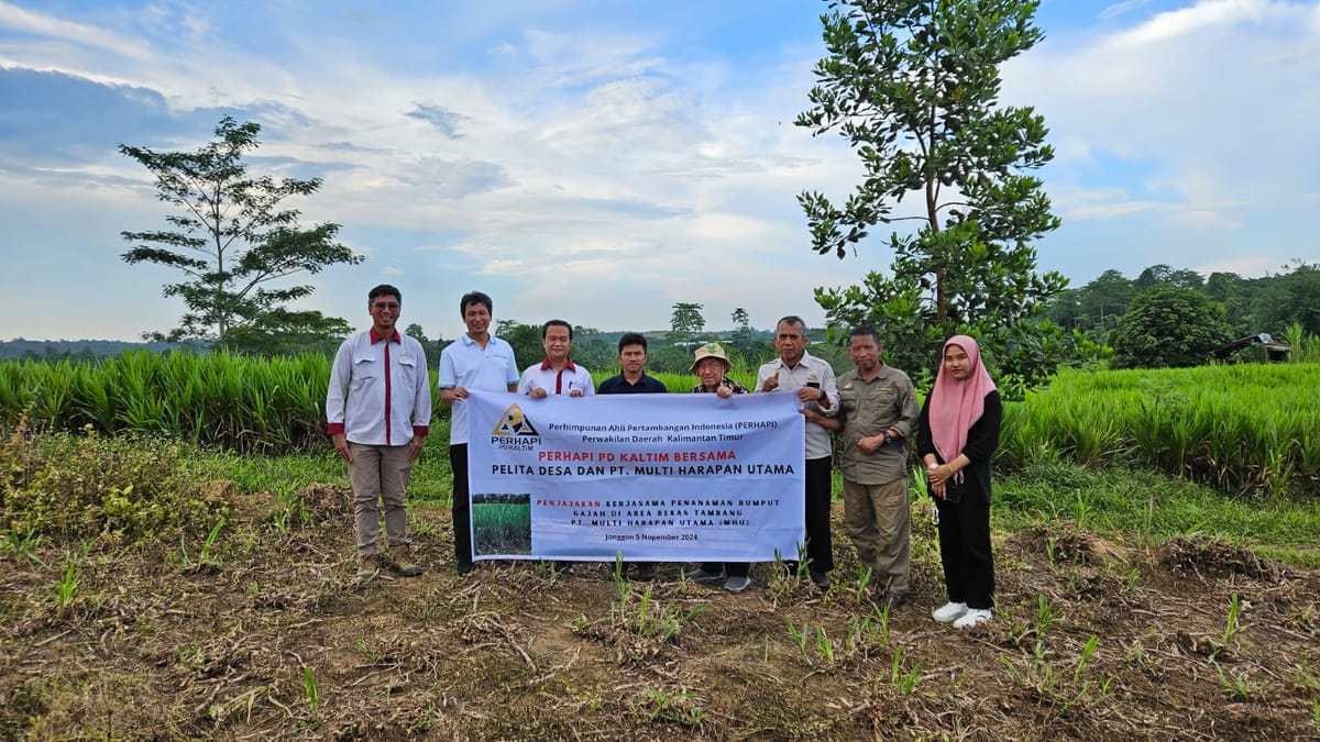 Perhapi Kaltim, MHU dan Pelita Desa Tanam Rumput Gajah di Area Bekas Tambang