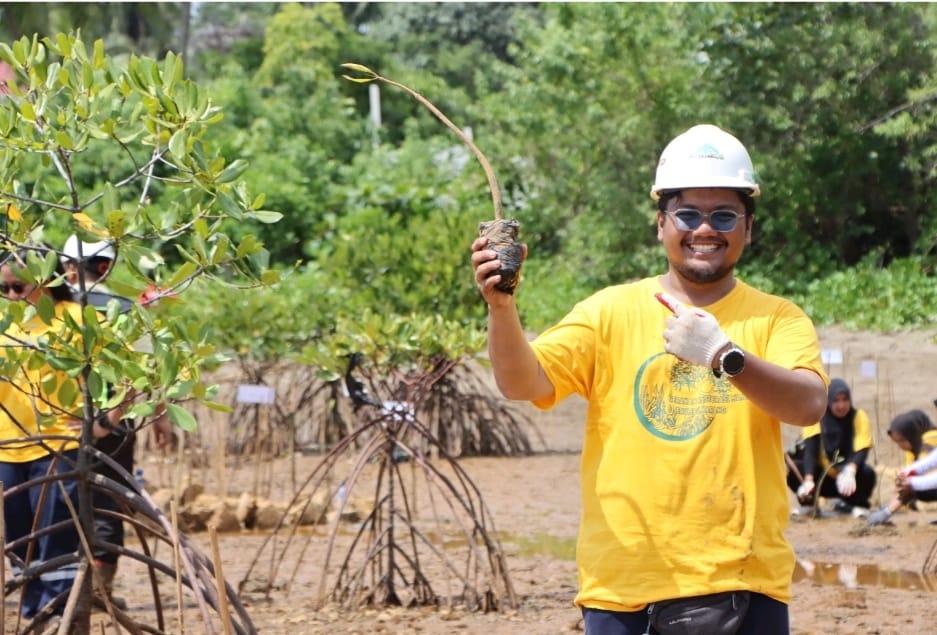 Menghijaukan Pesisir Morowali: Menelisik Proses Restorasi Mangrove Hengjaya Mineralindo