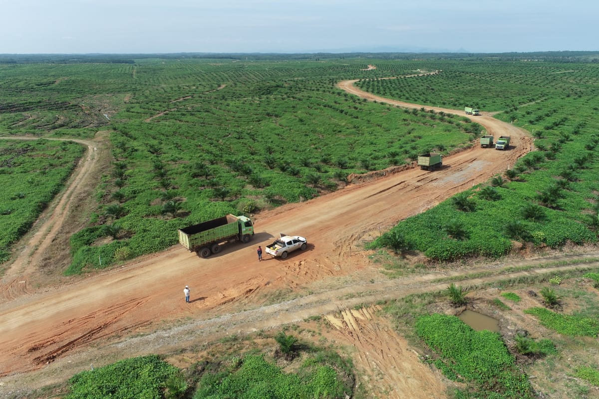 Pemprov Sumsel Larang Angkutan Batu Bara Lewat Jalan Umum, Ini Aturan Lengkapnya