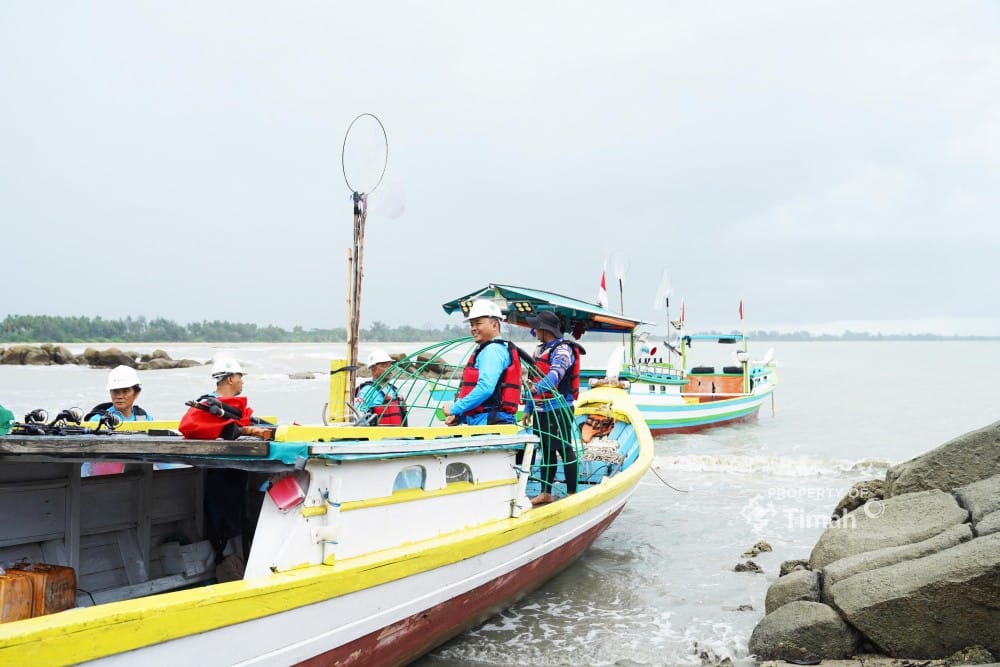 Cara PT Timah Lestarikan Ekosistem Laut dengan Artificial Reef