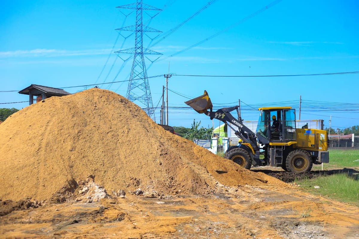 Tahun 2025, PLN EPI Targetkan Pasok Biomassa Sebesar 3 Juta Ton Ke Pembangkit Listrik