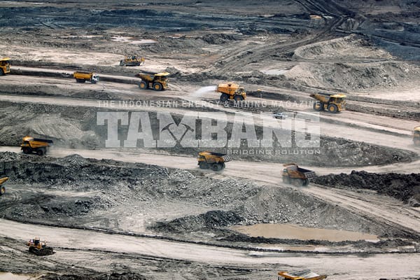 Laba Tahunan PTBA Tumbuh Sembilan Persen