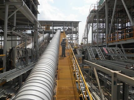 Jepang Minat Manfaatkan Batu Bara Kualitas Rendah di Papua