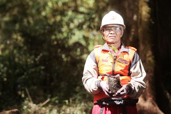 Tidak Ada ”Babat Alas” di Gunung Slamet