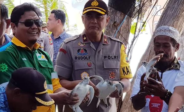 Kisah PT Gag Nikel Edukasi Warga Jaga Habitat Penyu