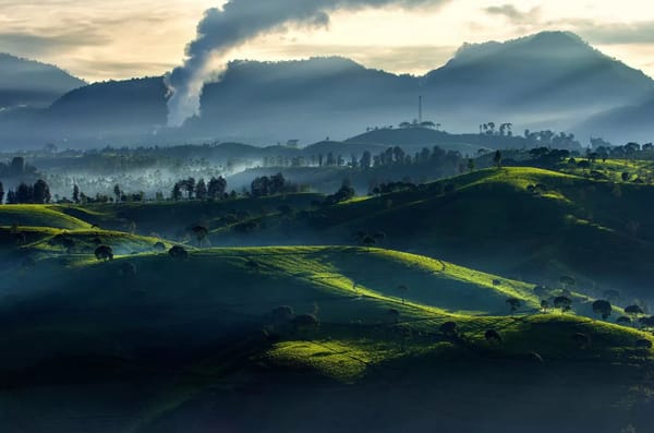 Pemerintah Teken Mou Kembangkan Panas Bumi di Mataloko