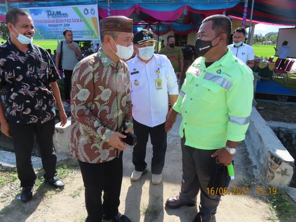 Anak Usaha J Resources Gelar Pelatihan Penangkaran Benih Padi