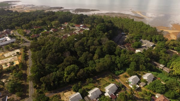 PT Timah Targetkan Reklamasi 400 Hektar di Babel Tahun 2023