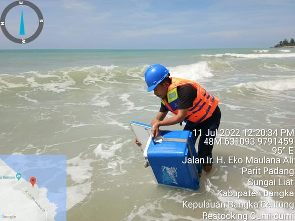 Tahun 2022, PT Timah Tbk Bakal Tenggelamkan Ribuan Artificial Reef