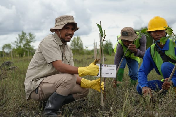 PTBA Lestarikan Habitat Burung dan Mangrove di Pulau Alanggantang