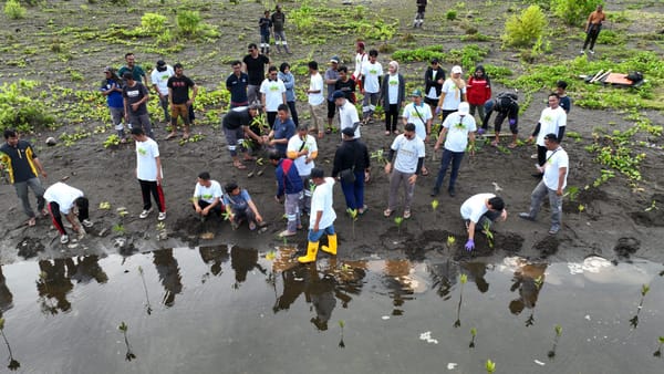 Peringati Hari Lingkungan Hidup Sedunia, VALE Bersih-Bersih Pantai dan Tanam Mangrove