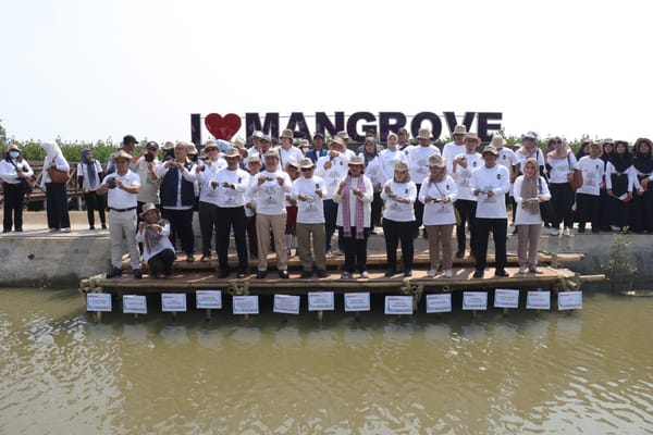 Bersama Kemenko Marvest, Harita Nickel Gelar Kegiatan Penanaman Mangrove Di Tangerang