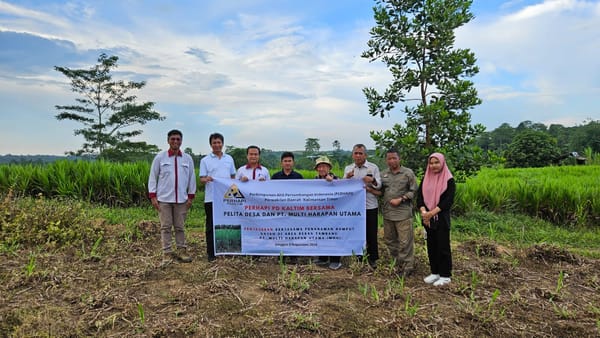 Perhapi Kaltim, MHU dan Pelita Desa Tanam Rumput Gajah di Area Bekas Tambang