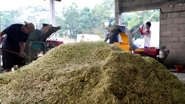 PLN EPI Integrasikan ESG ke Seluruh Rantai Operasi